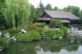 Shaoxin (绍兴)